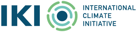 International Climate Initiative